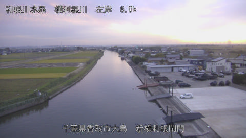 yoko2025110217_image