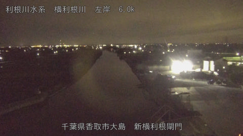 yoko2025110218_image