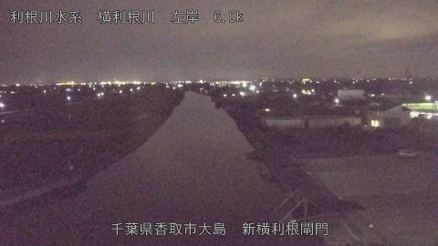 yoko2025110219_image