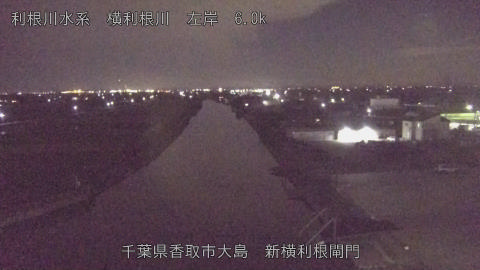 yoko2025110220_image