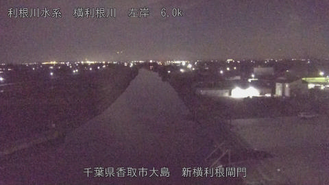 yoko2025110221_image