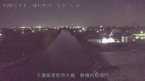 yoko2025110222_image