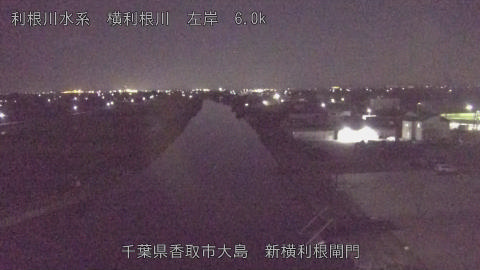 yoko2025110223_image