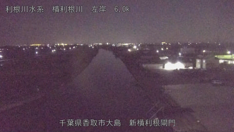 yoko2025110300_image