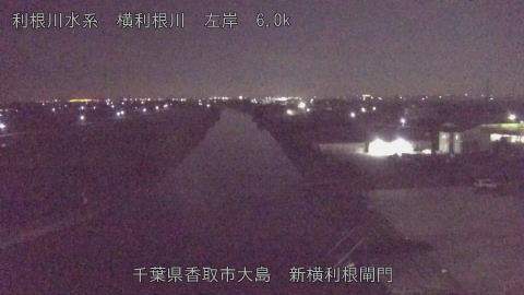 yoko2025110301_image