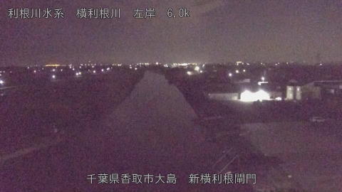 yoko2025110302_image