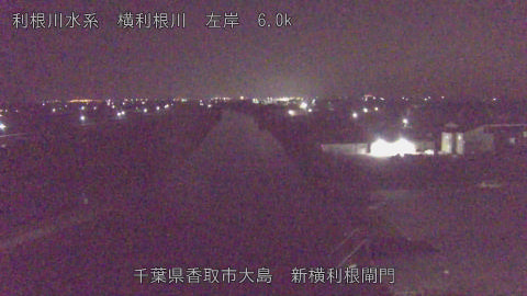 yoko2025110303_image