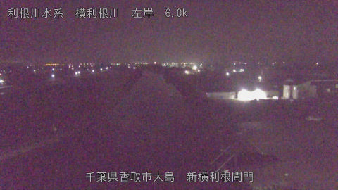 yoko2025110304_image