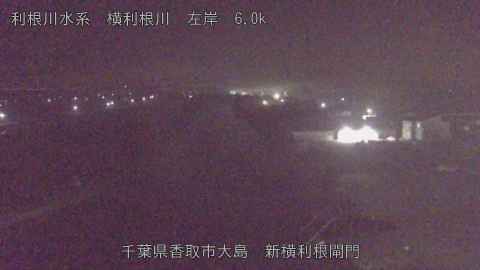 yoko2025110305_image