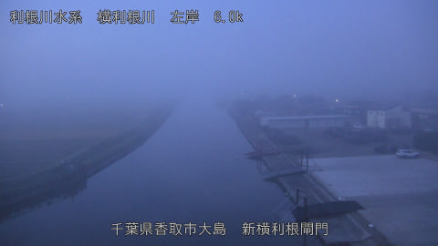 yoko2025110306_image