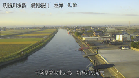 yoko2025110307_image