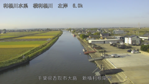 yoko2025110308_image