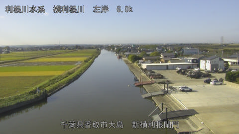 yoko2025110309_image