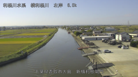 yoko2025110310_image