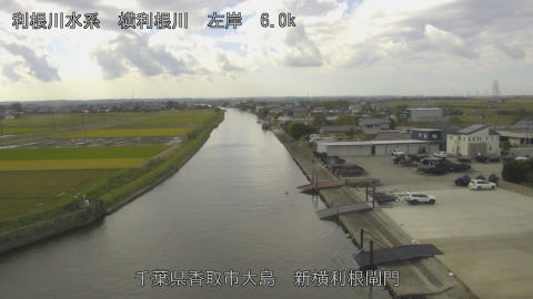 yoko2025110311_image