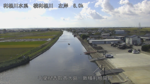 yoko2025110312_image