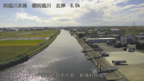 yoko2025110313_image