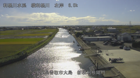 yoko2025110314_image