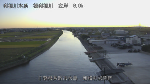 yoko2025110317_image