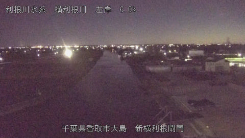 yoko2025110318_image