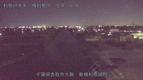 yoko2025110319_image