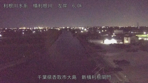 yoko2025110320_image