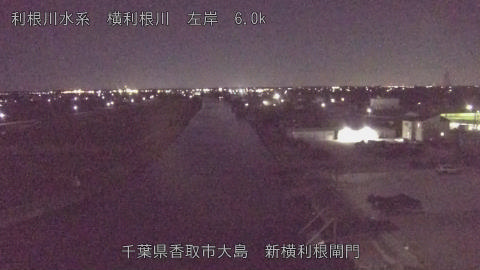 yoko2025110322_image