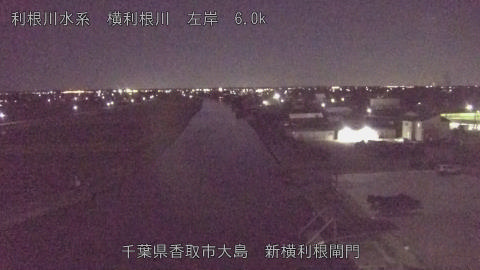 yoko2025110400_image