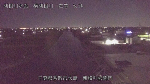 yoko2025110401_image