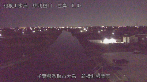 yoko2025110402_image