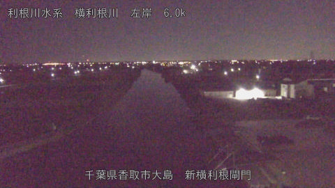 yoko2025110403_image