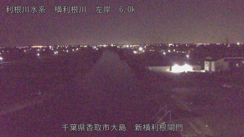 yoko2025110404_image