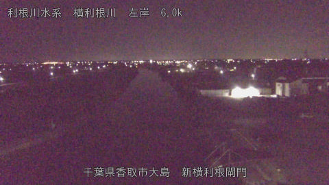 yoko2025110405_image