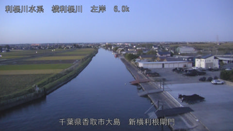 yoko2025110406_image