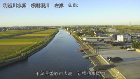 yoko2025110407_image