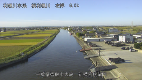 yoko2025110408_image