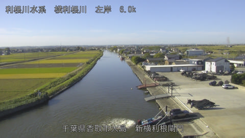 yoko2025110409_image