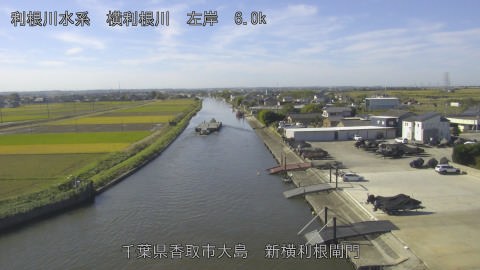 yoko2025110410_image