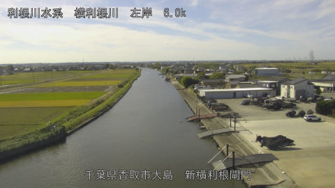 yoko2025110411_image