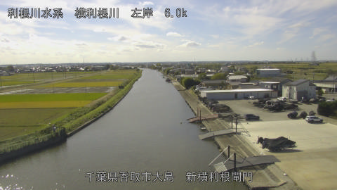 yoko2025110412_image