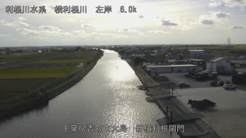 yoko2025110414_image