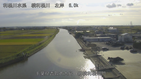 yoko2025110415_image