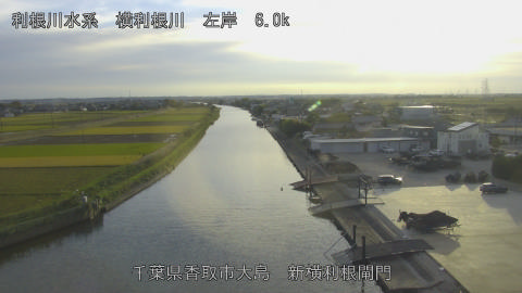 yoko2025110416_image