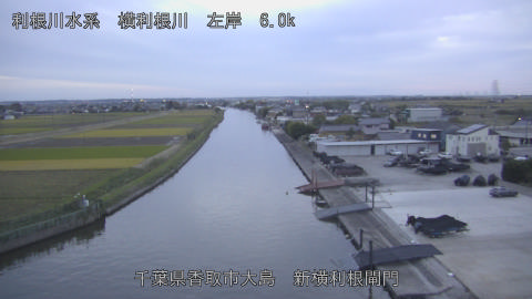 yoko2025110417_image