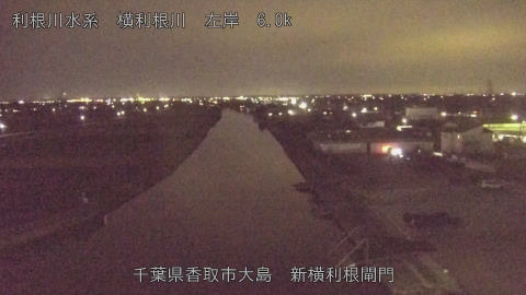 yoko2025110418_image