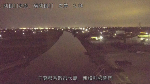 yoko2025110419_image