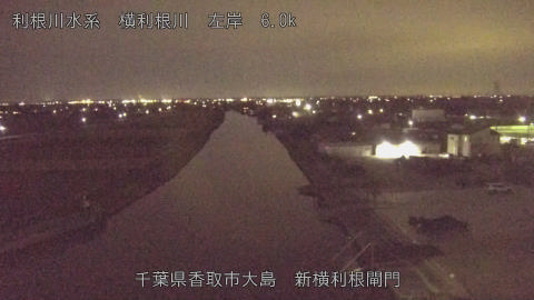 yoko2025110420_image