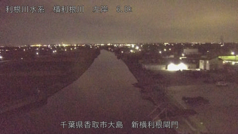 yoko2025110421_image