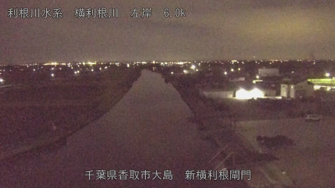 yoko2025110422_image