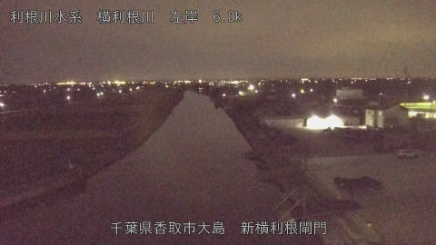 yoko2025110423_image